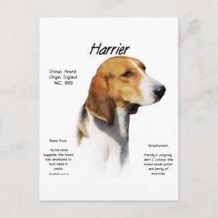 Harrier-historikdesign Vykort