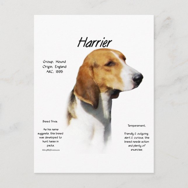 Harrier-historikdesign Vykort (Framsida)