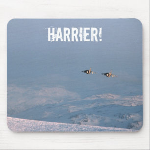 Harrier Jump Jet Musmatta