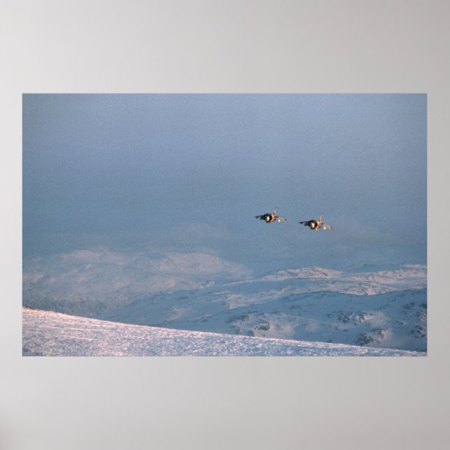 Harrier Jump Jet Poster (Framsidan)