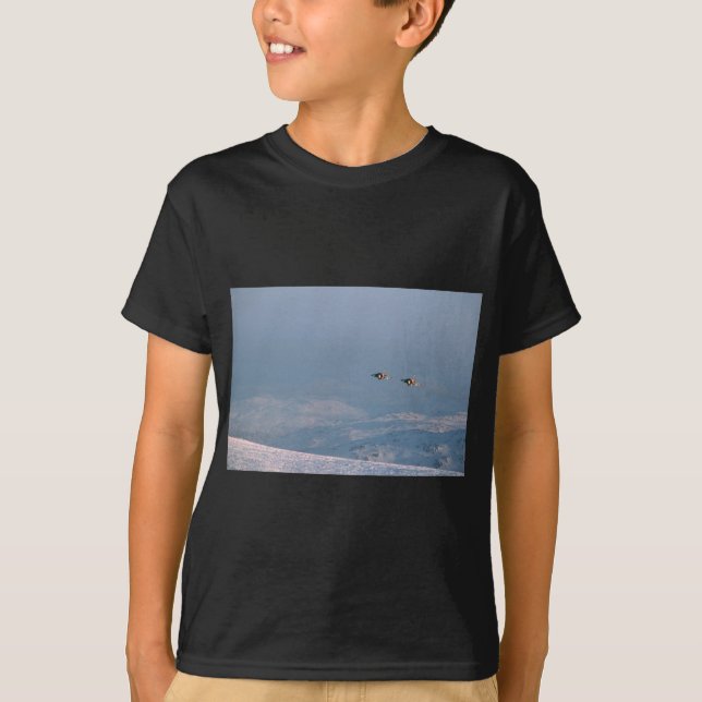 Harrier Jump Jet T-shirt (Framsida)