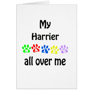 Harrier Walks Design Hälsningskort