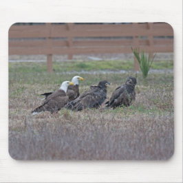 Harriet M15 E10 och E11 Musmatta