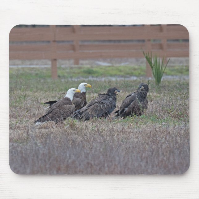 Harriet M15 E10 och E11 Musmatta (Framsidan)