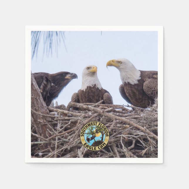 Harriet, M & E9 Pappra blöjor Pappersservett (Framsidan)