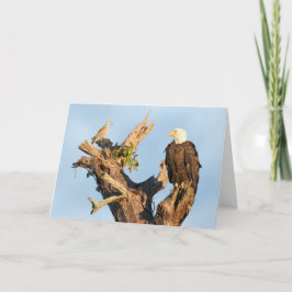 Harriet och duvan helgkort