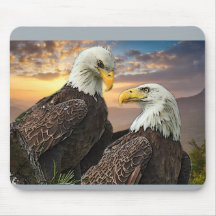 Harriet och M15 när jag tittar in i öga