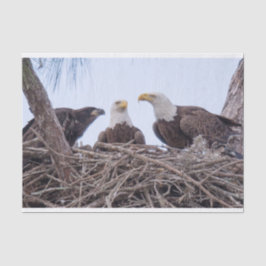 Harriet, papper för silkespapper M & E9