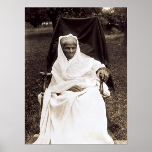 Harriet Tubman Poster