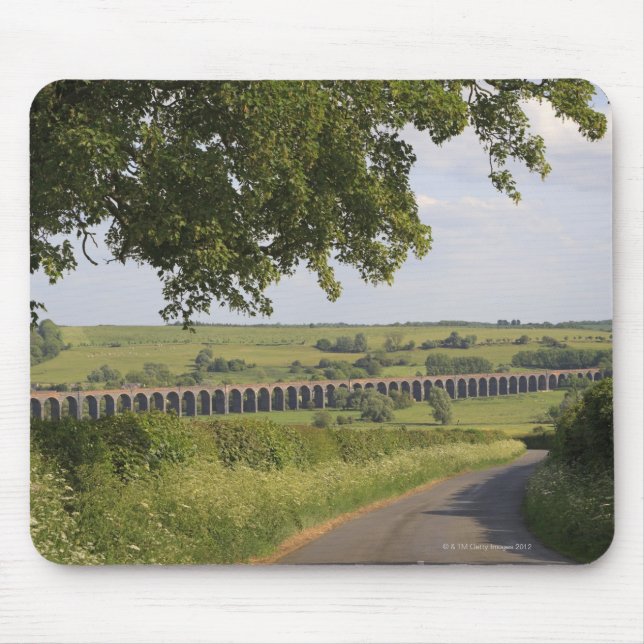 Harringworth Viaduct, Rutland.  Också bekant som Musmatta (Framsidan)