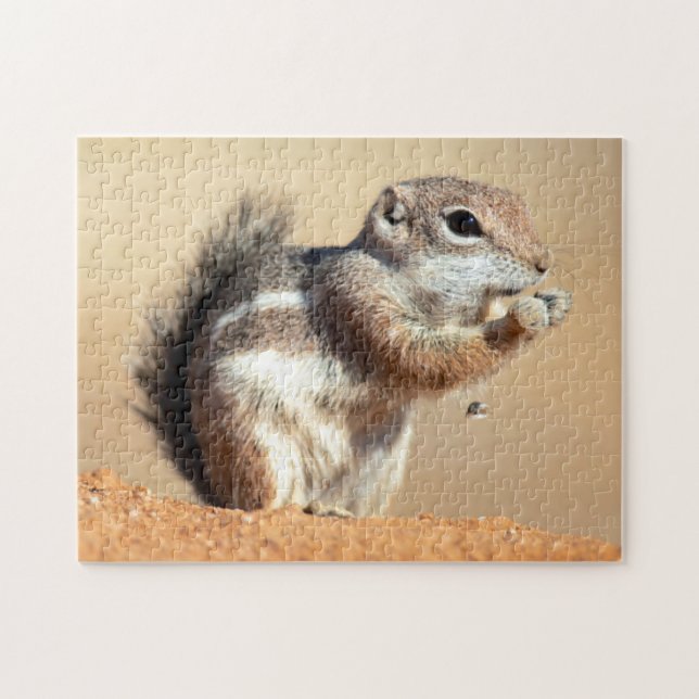 Harris' antilopmarkatta (Ammospermophilus) Pussel (Horisontell)