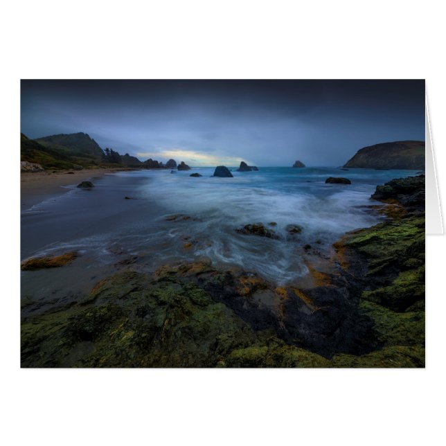Harris Beach State Park | Oregon Hälsningskort (Framsidan Horizontal)