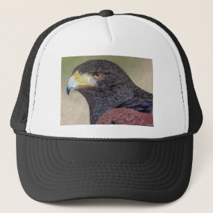 Harris Hawk färgpennas Keps