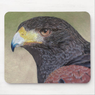 Harris Hawk färgpennas Musmatta