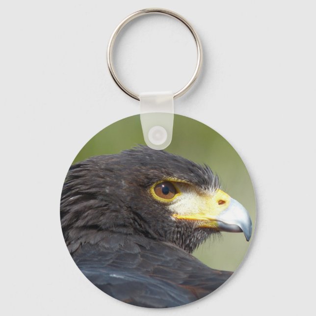 Harris Hawk Nyckelring (Framsida)