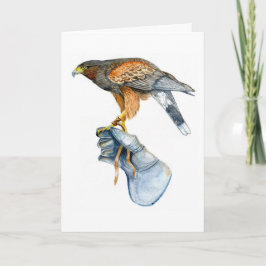 Harris Hawk på kärlekskort Kort