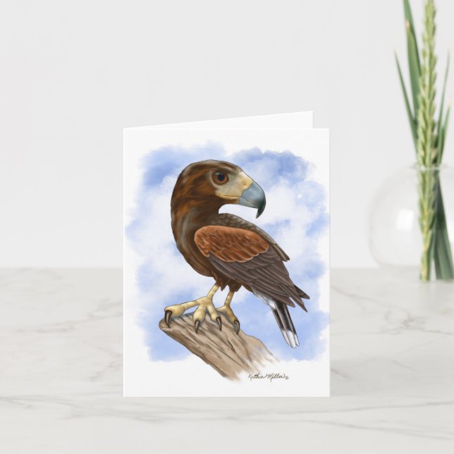 Harris Hawk på utkik - tecknad bild	 Kort (Framsida)