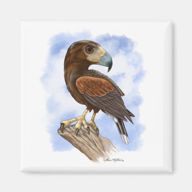Harris Hawk på utkik - tecknad bild	 Magnet (Framsidan)