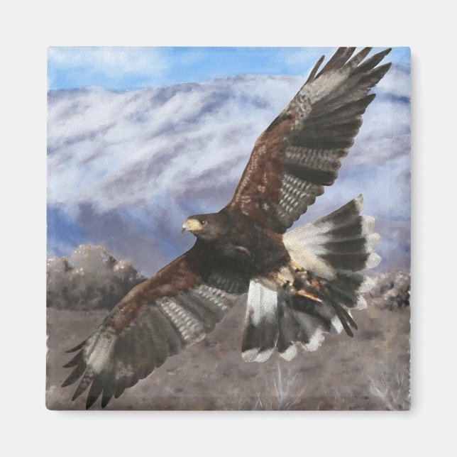Harris Hawk-pastel Magnet (Framsidan)