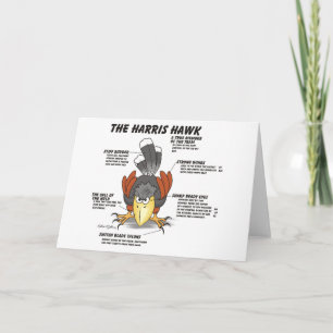Harris Hawk Tecknad Card Kort