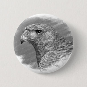 Harris Hawk Teckning Knapp