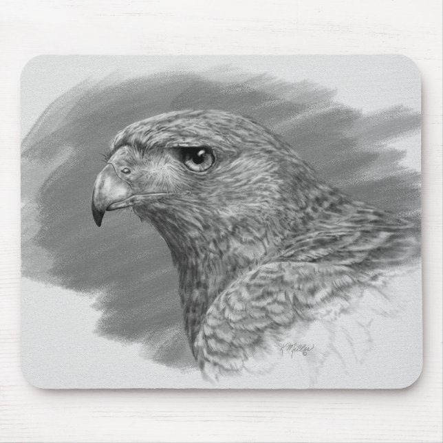 Harris Hawk Teckning Musmatta (Framsidan)