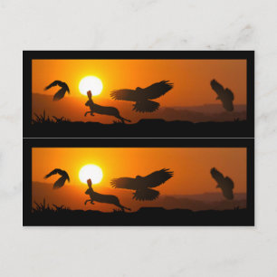 Harris Hawks Hunting Bok markers Vykort