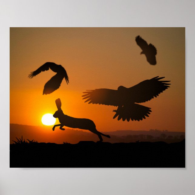 Harris Hawks Hunting Poster (Framsidan)