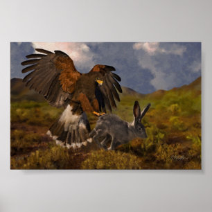 Harris hök och Jackrabbit Poster