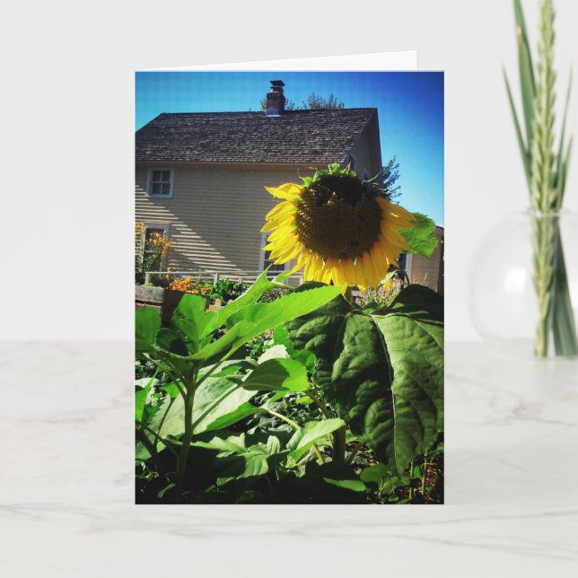"Harris House Sunflower" Välmående-kort Kort (Framsida)