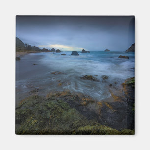Harris stranddelstatspark Oregon Magnet