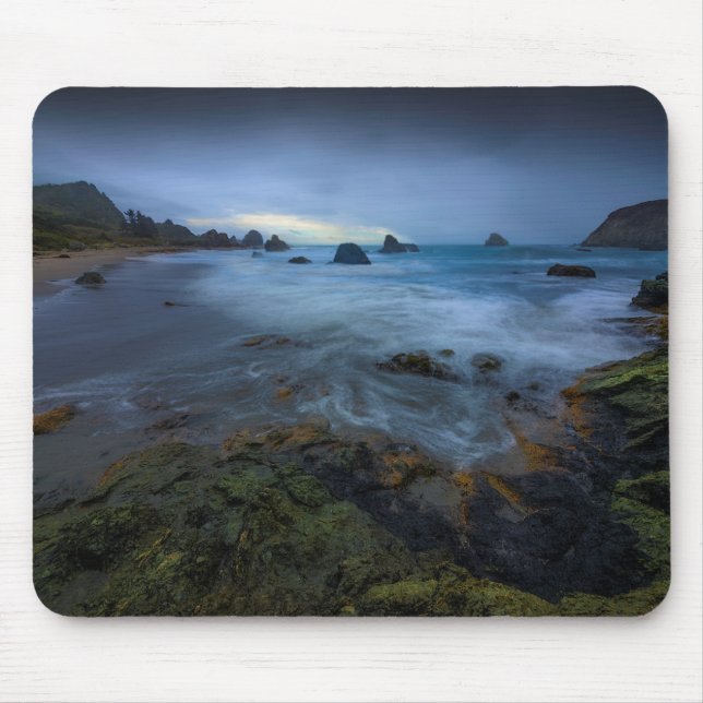 Harris stranddelstatspark | Oregon Musmatta (Framsidan)
