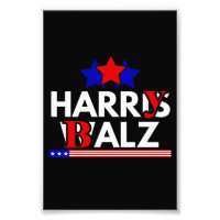 Harris Walz 24 Harry Balz 2024 Meme Demokrater