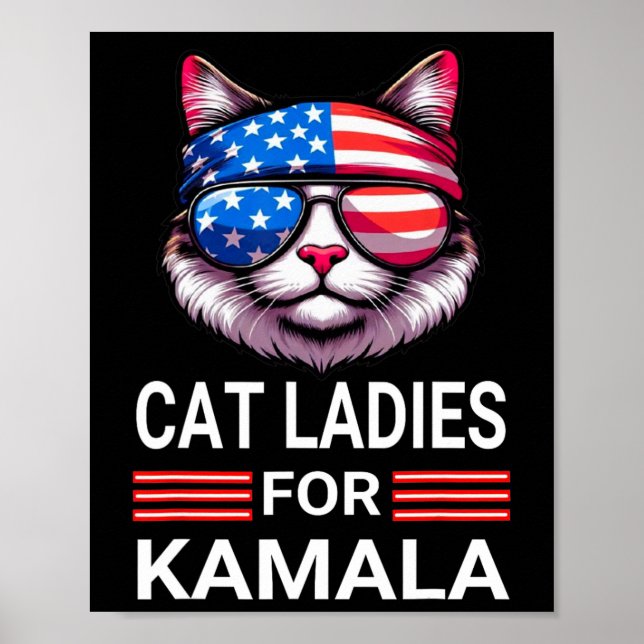 Harris Wheimer 2024 Funny Cat Election Kamala Harr Poster (Framsidan)