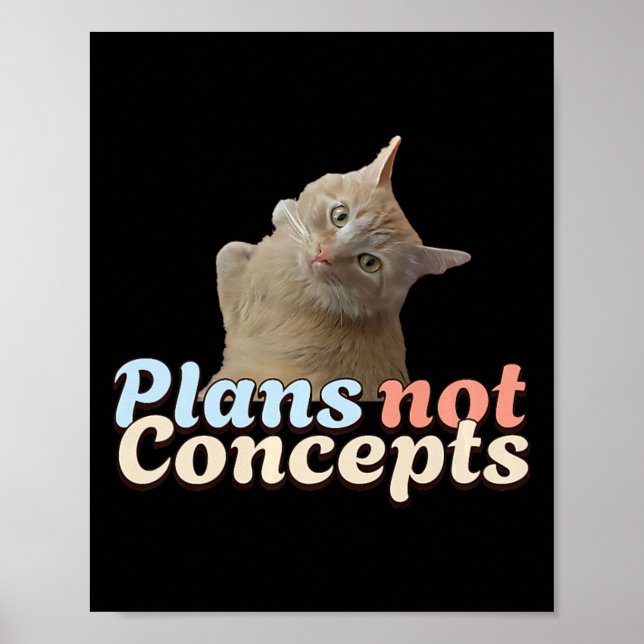 Harris Wheimer Cat säger att röstplaner inte är et Poster (Framsidan)