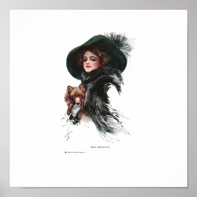 Harrison Fisher välskyddad Poster (Framsidan)