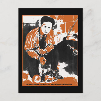 HARRY HOUDINI Black and Orange Art Illustration Vykort