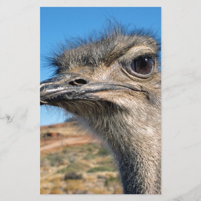 Harry Lycklig Ostrich Brevpapper (Framsida)