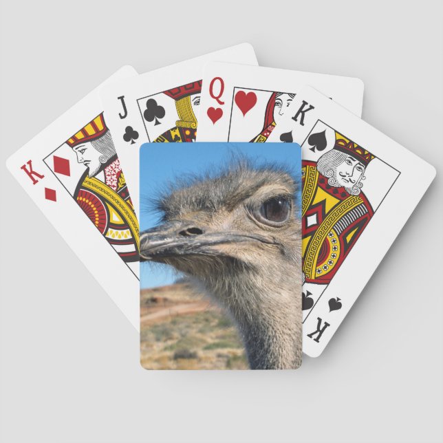 Harry Lycklig Ostrich Casinokort (Baksidan)
