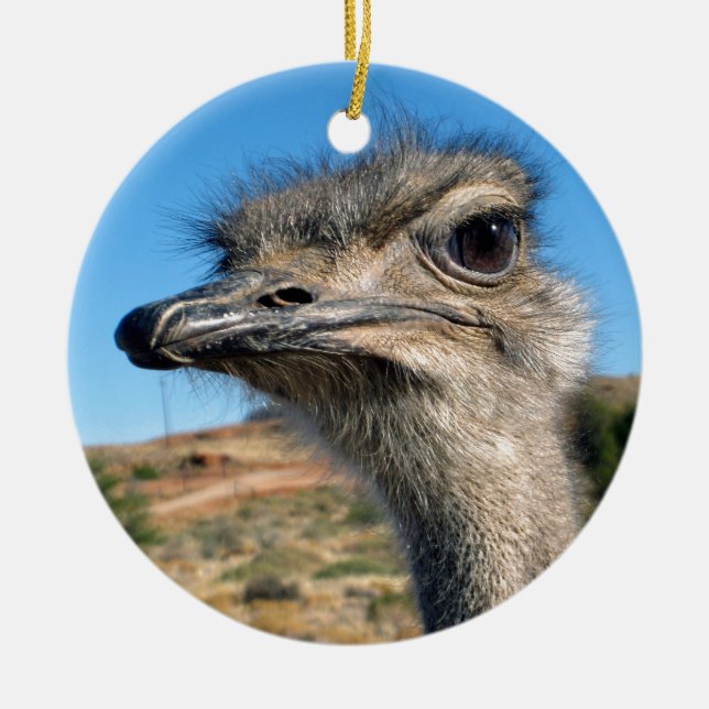 Harry Lycklig Ostrich Julgransprydnad Keramik (Framsidan)