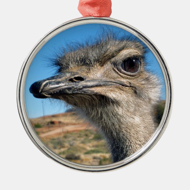 Harry Lycklig Ostrich Julgransprydnad Metall (Framsidan)
