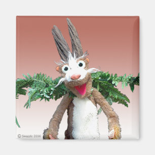 Harry magnet