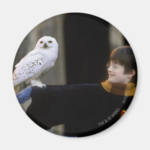 Harry och Hedwig 3 Magnet