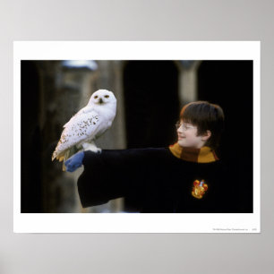Harry och Hedwig 3 Poster