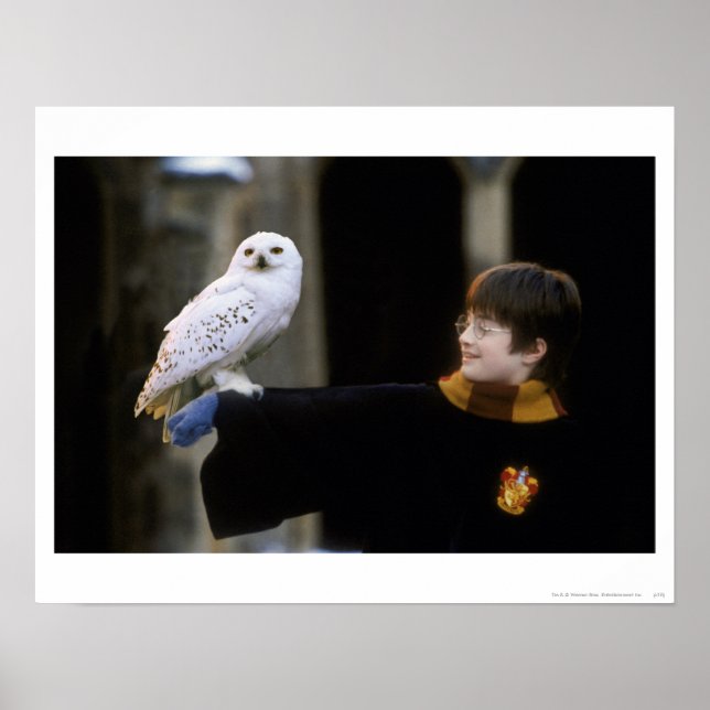 Harry och Hedwig 3 Poster (Framsidan)