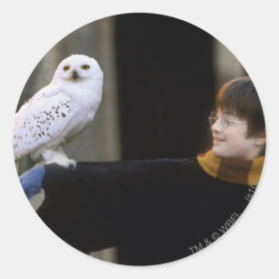 Harry och Hedwig 3 Runt Klistermärke