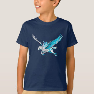 Harry och Hermione på en Hippogriff T-shirt