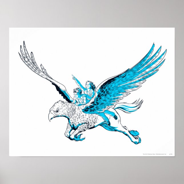 Harry och Hermione på Hippogriff Poster (Framsidan)