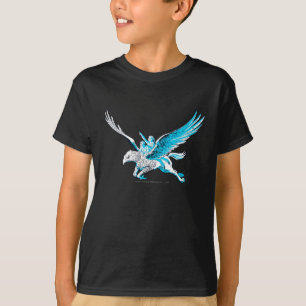 Harry och Hermione på Hippogriff Tee Shirt