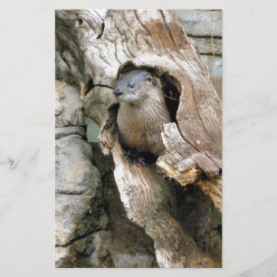 Harry Otter Brevpapper